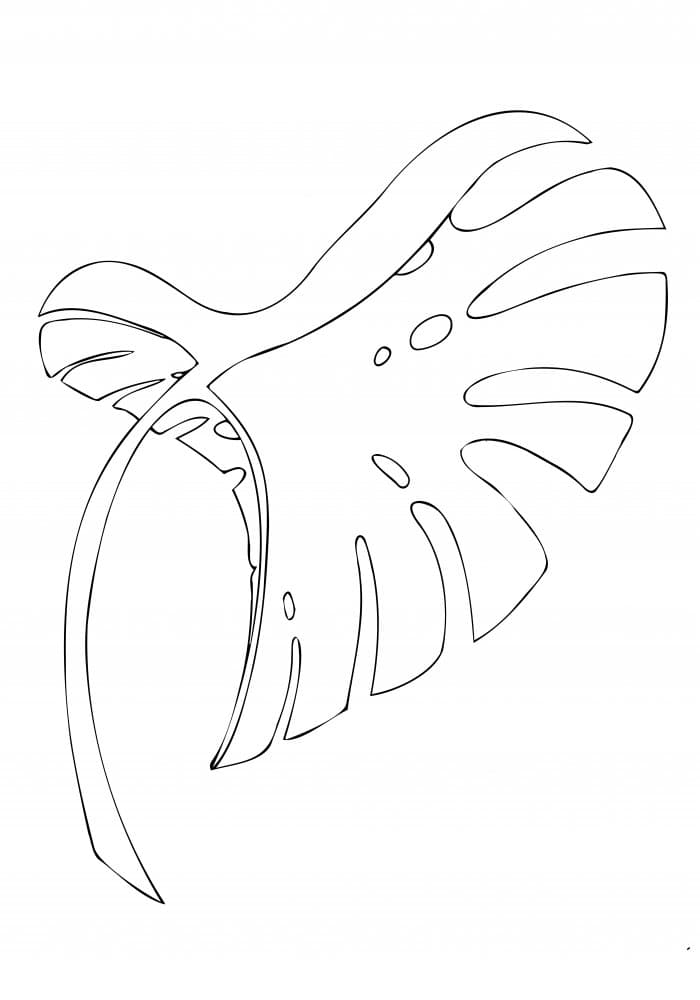 Monstera Leaf Outline by Pictufy Studio II — canvas wall art