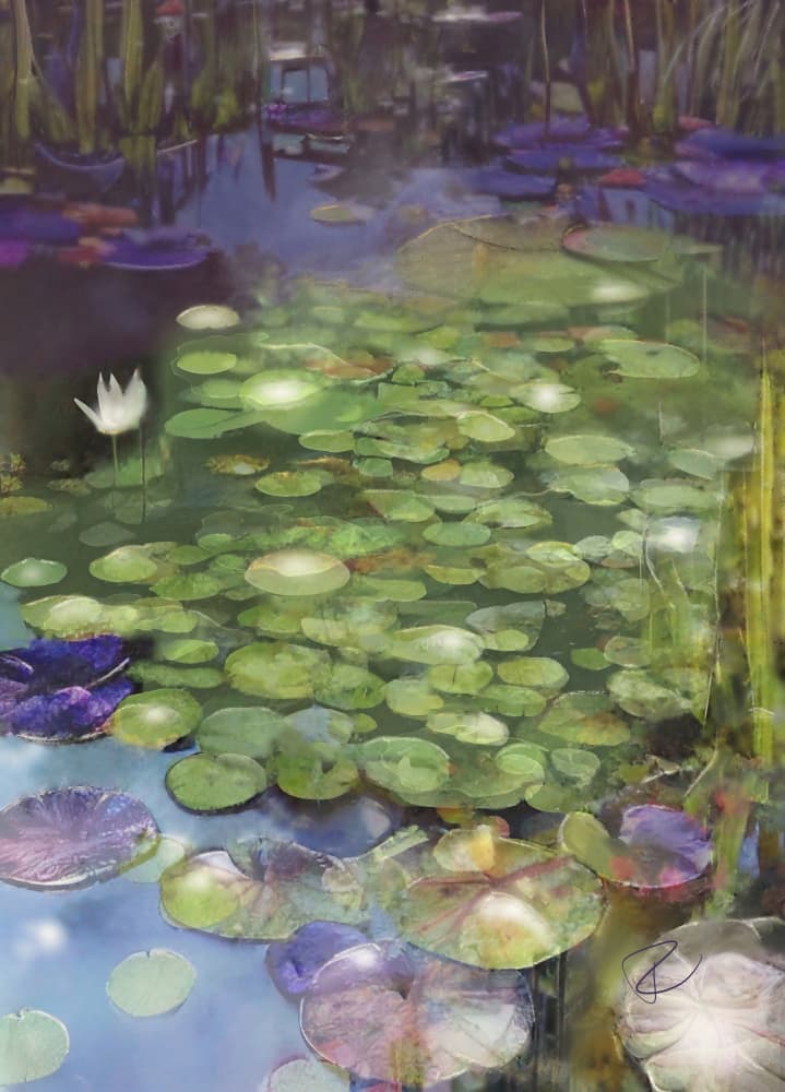 White Lily Pond by Ruth Day — canvas wall art