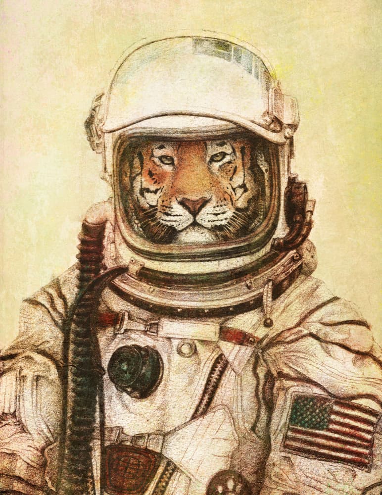 Tiger In A Vintage Astronaut Suit by Mike Koubou — canvas wall art