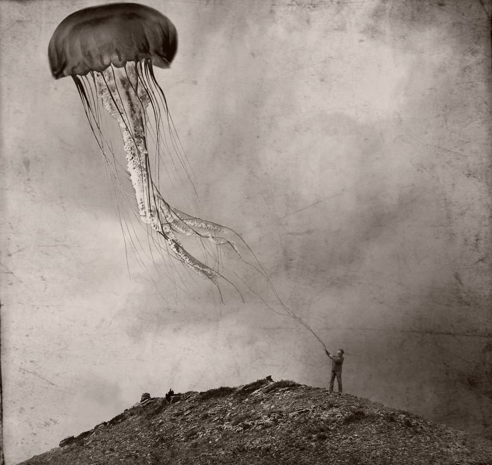 Surreal Jellyfish Kite by Jeffrey Hummel — canvas wall art