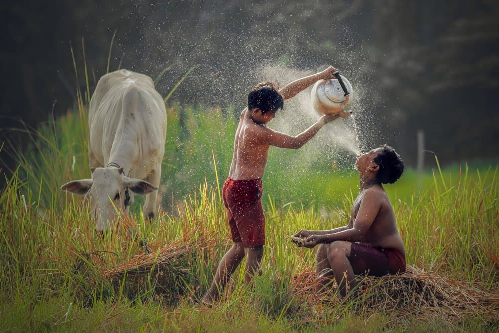 Joyful Water Play by Gatot Herliyanto — canvas wall art