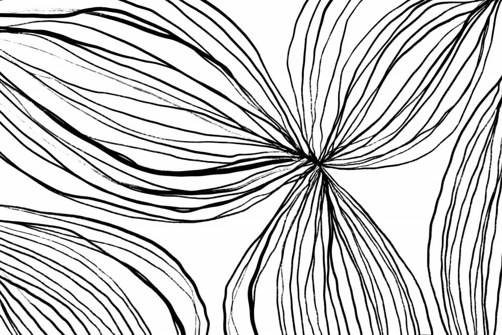 Flowing Petals by uplusmestudio — canvas wall art