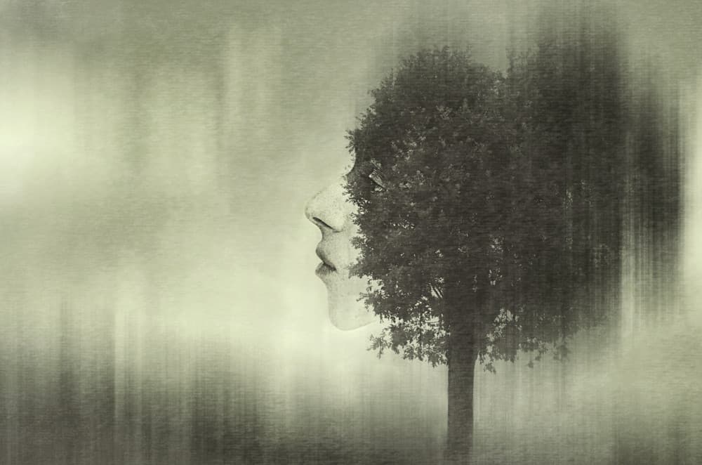 Merging Nature Portrait by Desislava Ignatova — canvas wall art