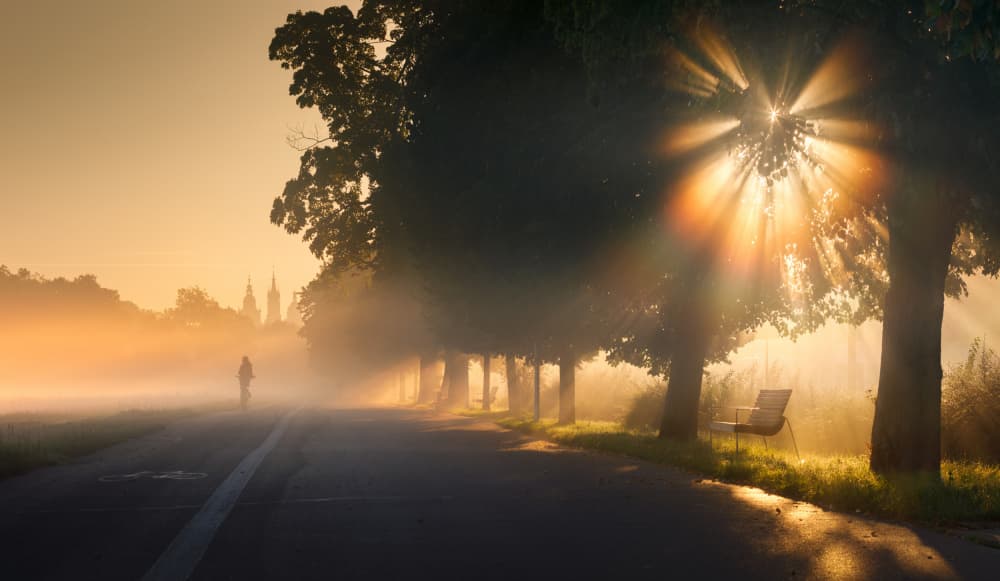 Misty Morning Sun Rays by Karol Nienartowicz — canvas wall art