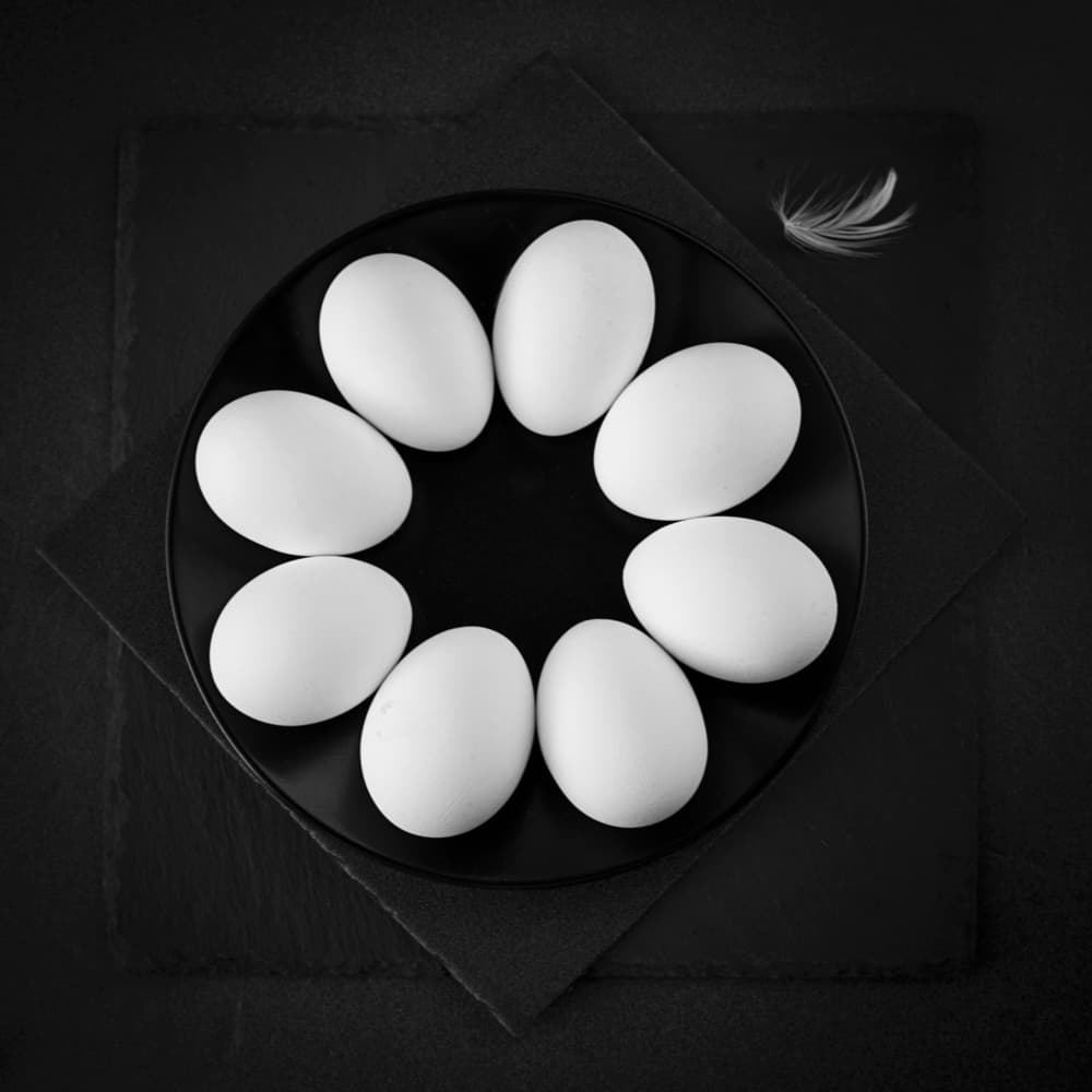 White Eggs Dark Plate by Zlatina Peeva — canvas wall art