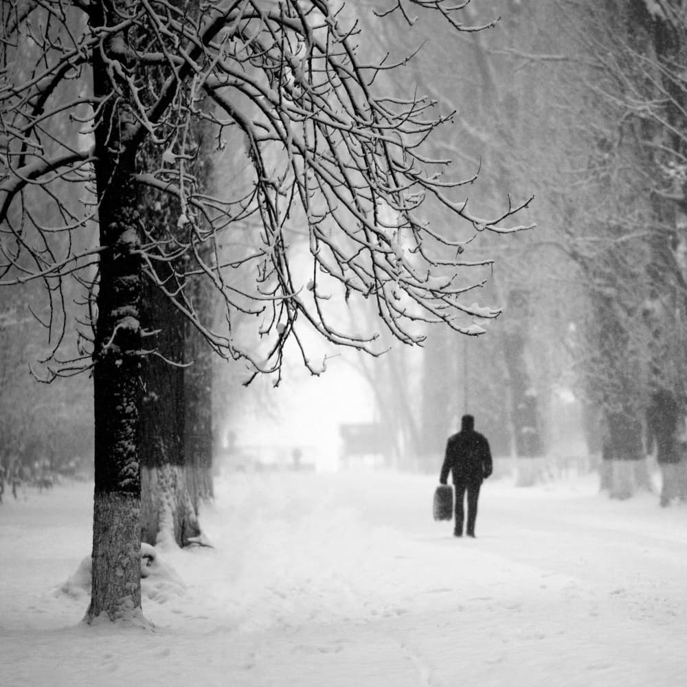 Solitary Winter Walk by Ileana Bosogea-Tudor — canvas wall art