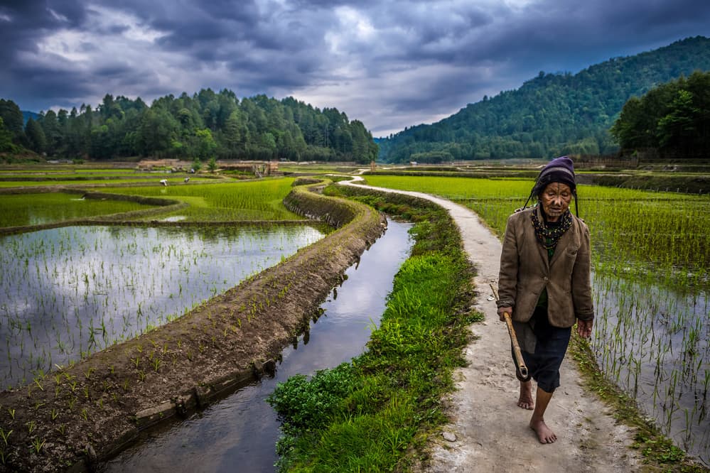 Barefoot Farmer Path by Saeed Dhahi — canvas wall art