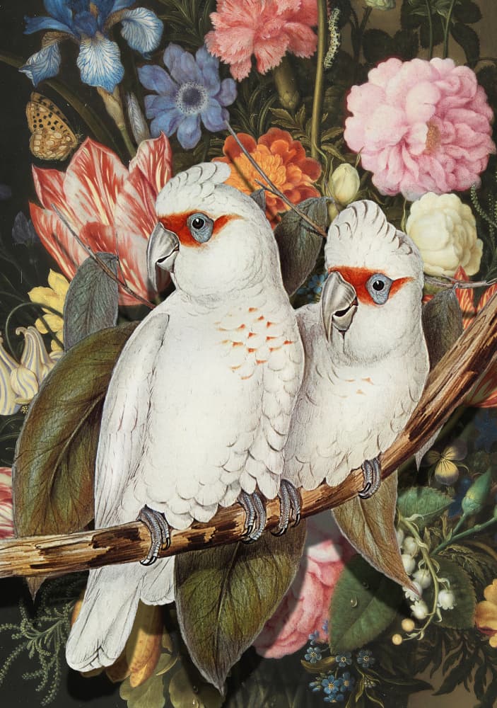 Cockatoos Among Blooms by Marja van den Hurk — canvas wall art