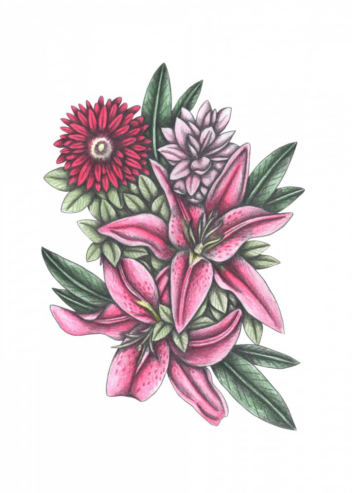 Vibrant Pink Lilies by Cecilia Battaini — canvas wall art