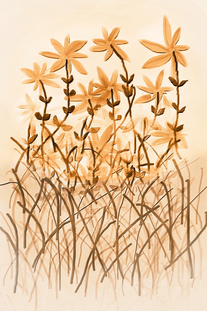 Warm Sepia Botany by Christina Sillen — canvas wall art