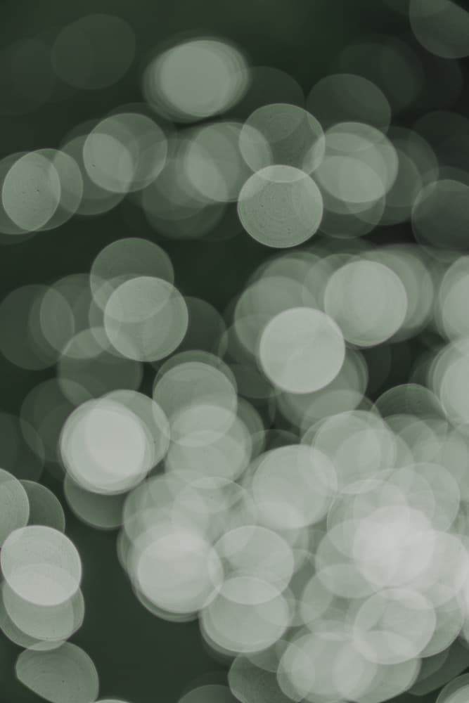 Luminous Whispers by Shot by Clint — canvas wall art