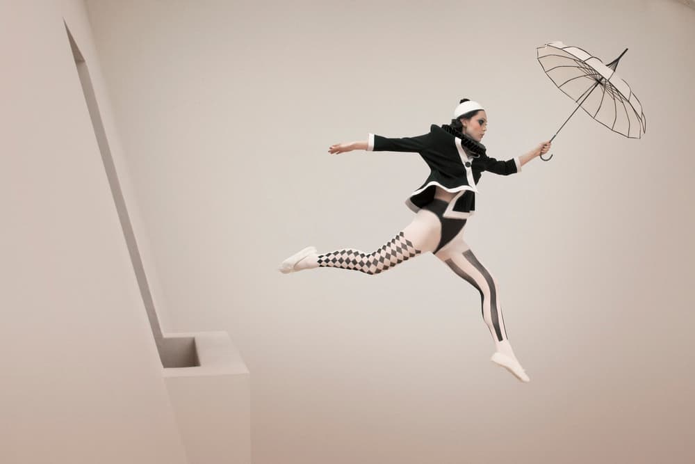 Harlequin's Whimsical Flight by Christine von Diepenbroek — canvas wall art