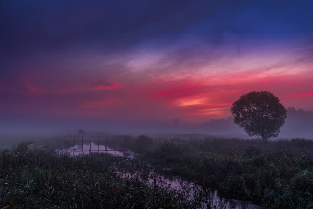 Vibrant Twilight Landscape by Dariusz Budyta — canvas wall art