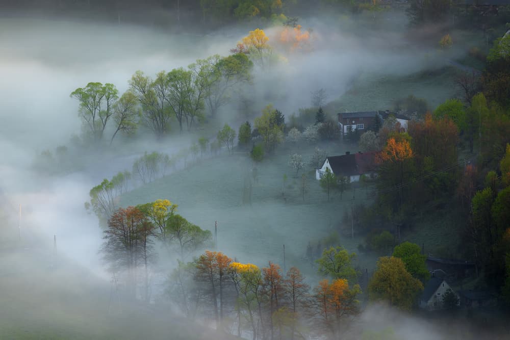 Misty Valley Morning by Izabela Laszewska-Mitrega / Darek Mitręga — canvas wall art