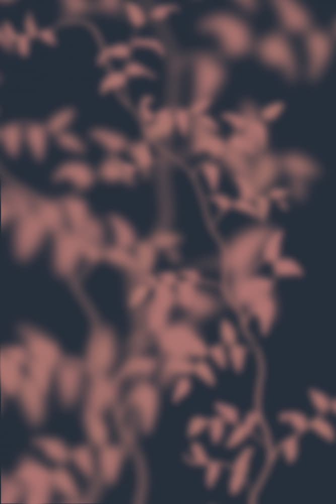 Serene Leaf Shadows by THE MIUUS STUDIO — canvas wall art