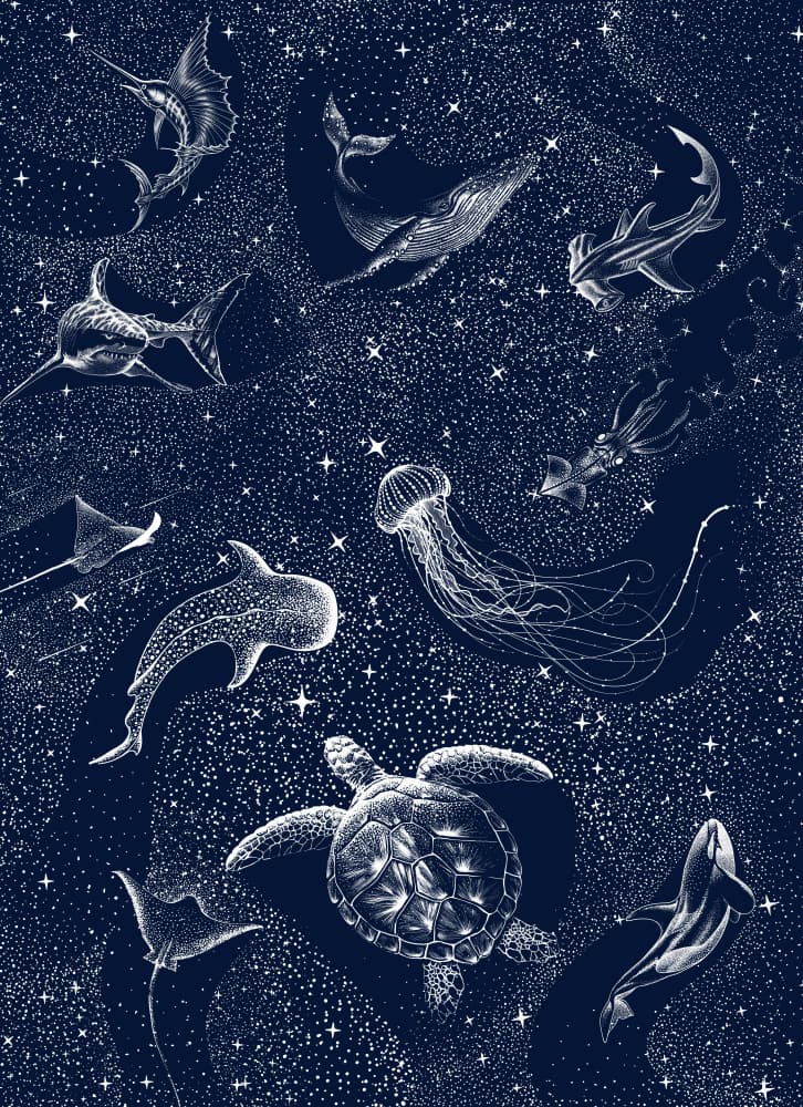 Starry Ocean Creatures by Alirıza ÇAKIR — canvas wall art