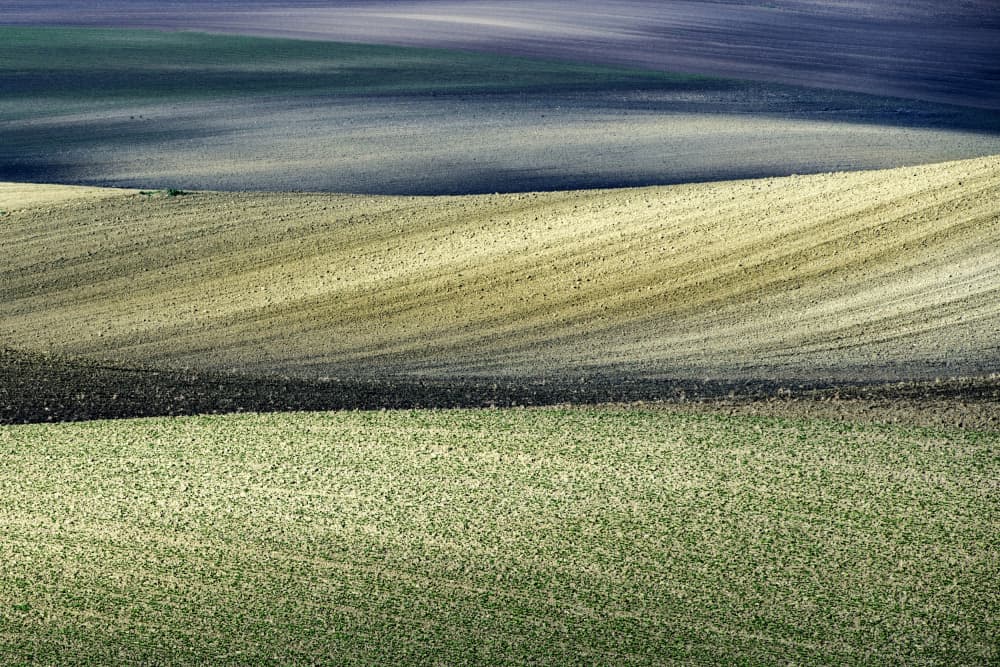 Rolling Field Patterns by Nicola Figliuolo — canvas wall art