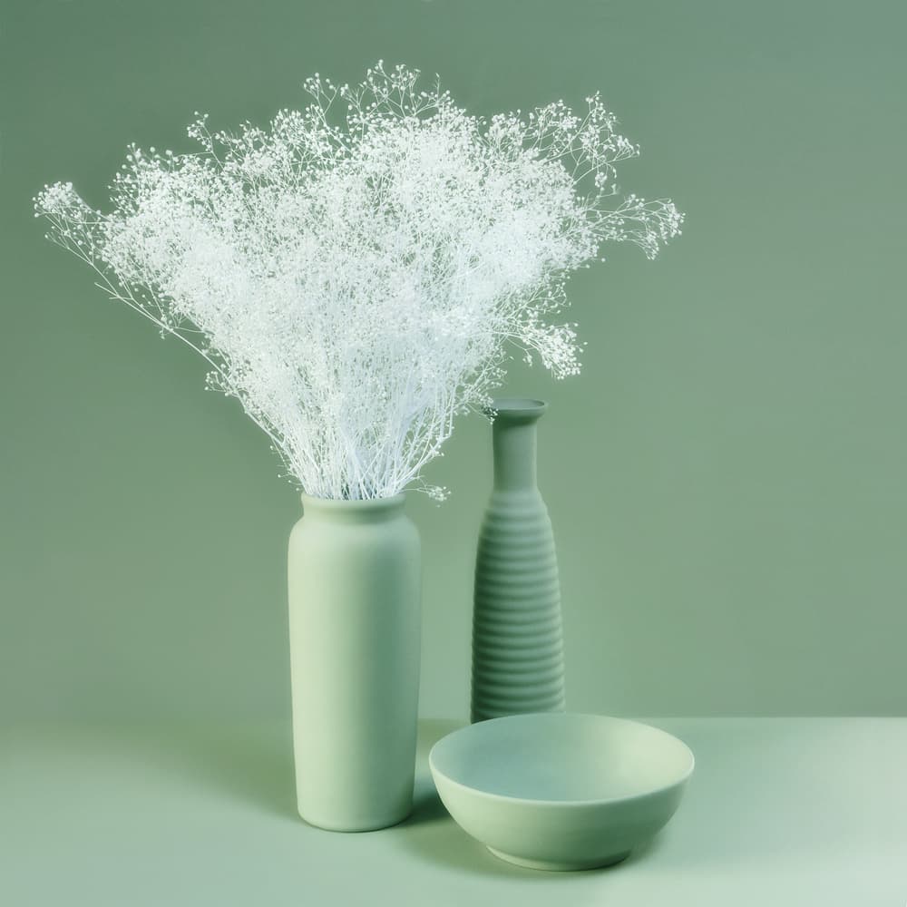 Muted Green Botanicals by Heidi Westum — canvas wall art