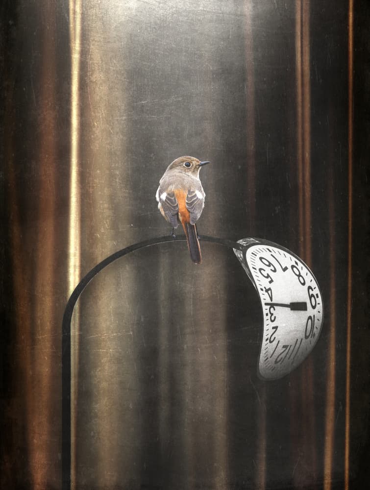 Don't be bound by time by Takashi Suzuki — canvas wall art