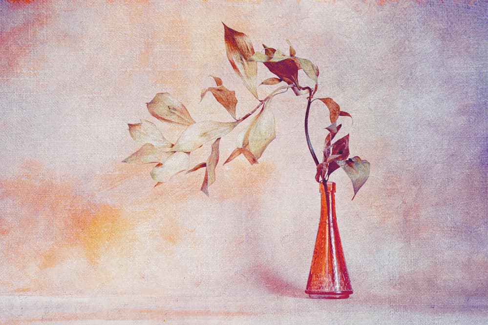 Faded Leaves Orange Vase by Cicek Kiral — canvas wall art