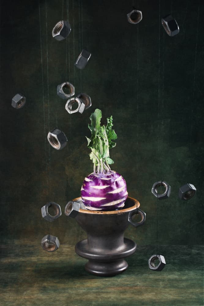 Kohlrabi and Floating Nuts by Brig Barkow — canvas wall art
