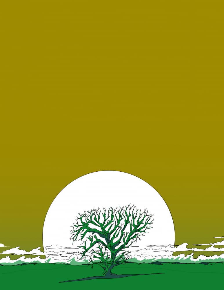 Green Tree Golden Sunset by Nicholas — canvas wall art