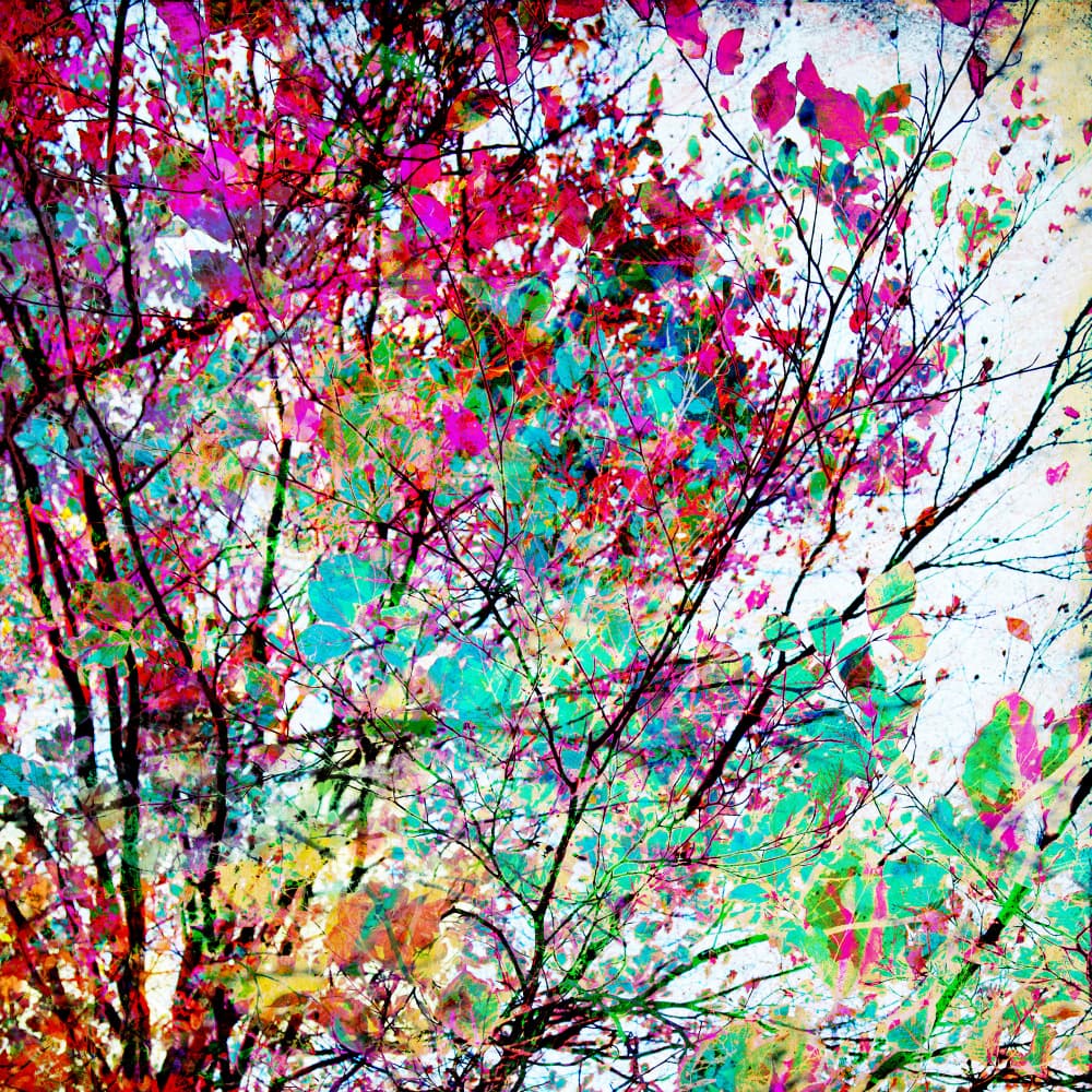 Autumn 8 by Mareike Böhmer — canvas wall art