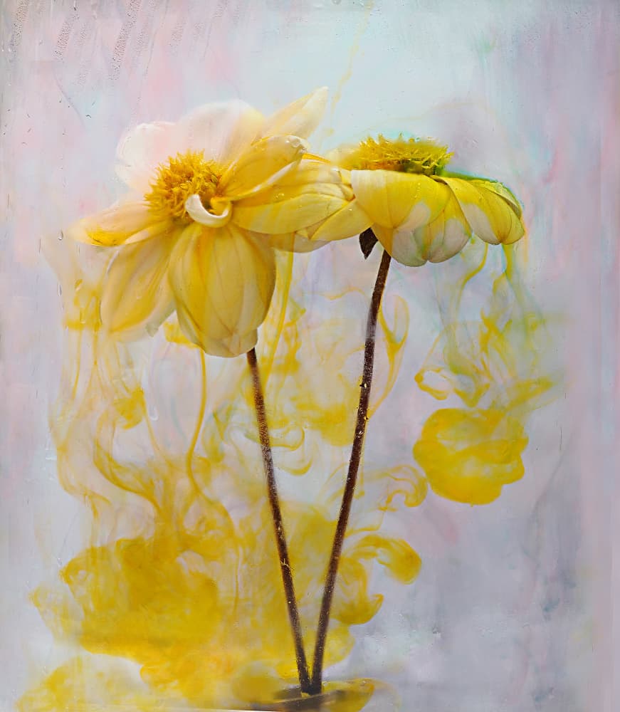 Vibrant Floral Flow by Pedro Uranga — canvas wall art