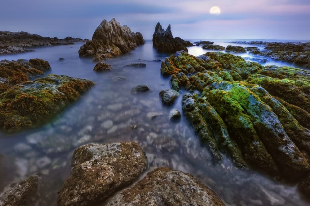Moonlit Coastal Rocks by Akira TAKAUE — canvas wall art