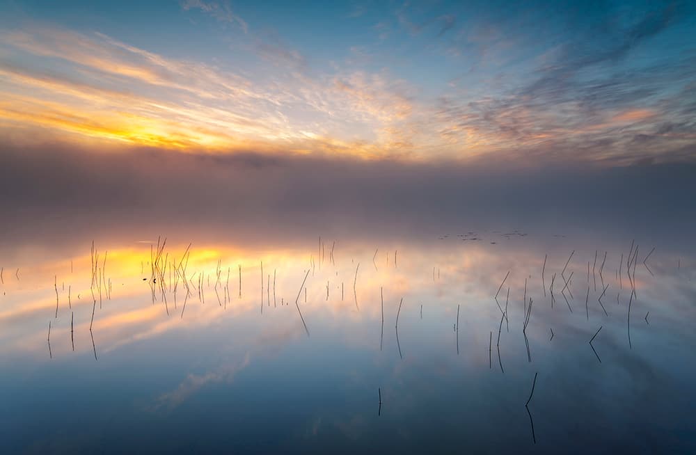 Misty Lake Sunrise by Keller — canvas wall art