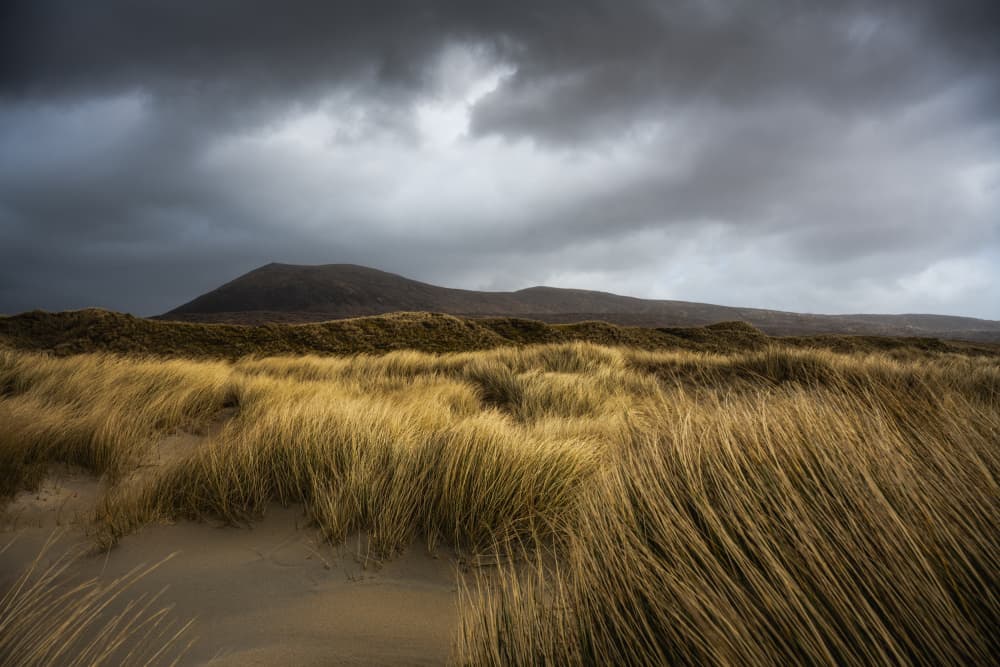 Windswept Coastal Dunes by Ulrike Eisenmann — canvas wall art
