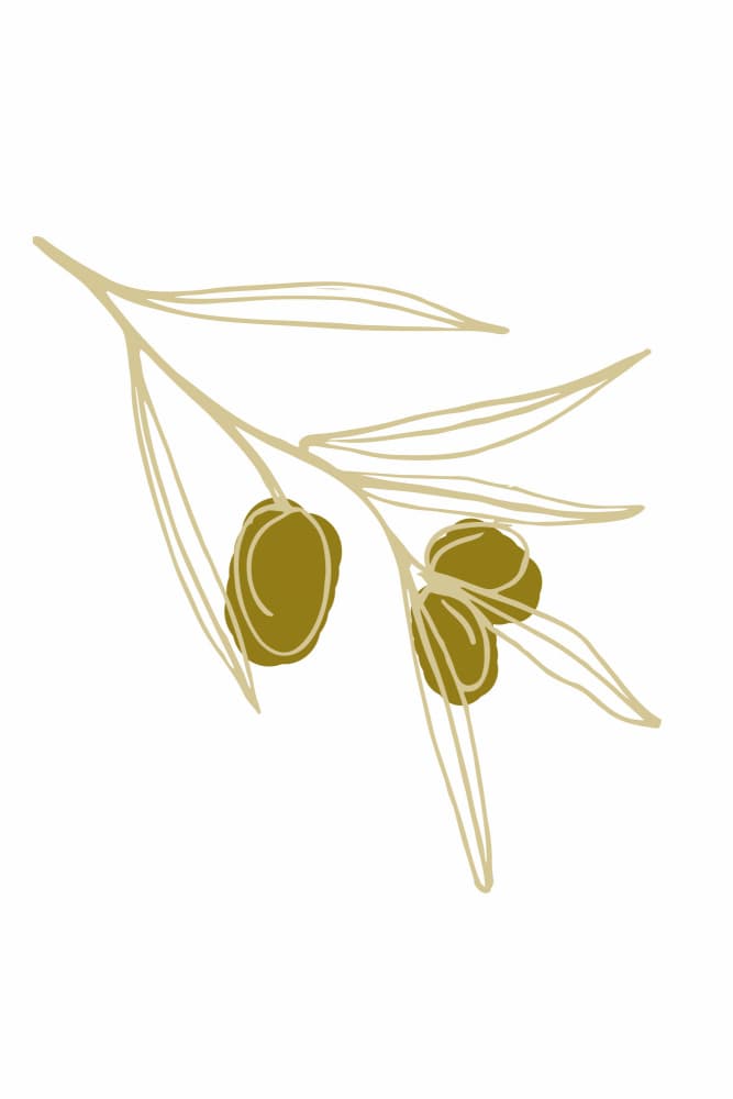 Olivebranchno03 by Treechild — canvas wall art