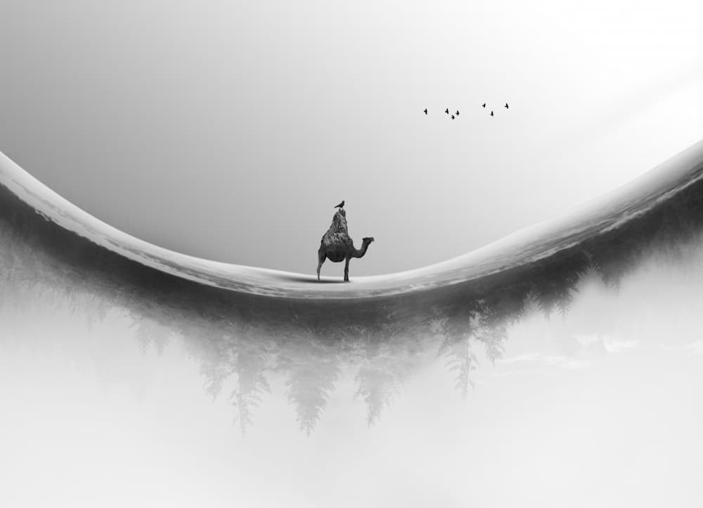 Misty Camel Journey by Hadi Malijani (Malenjani) — canvas wall art