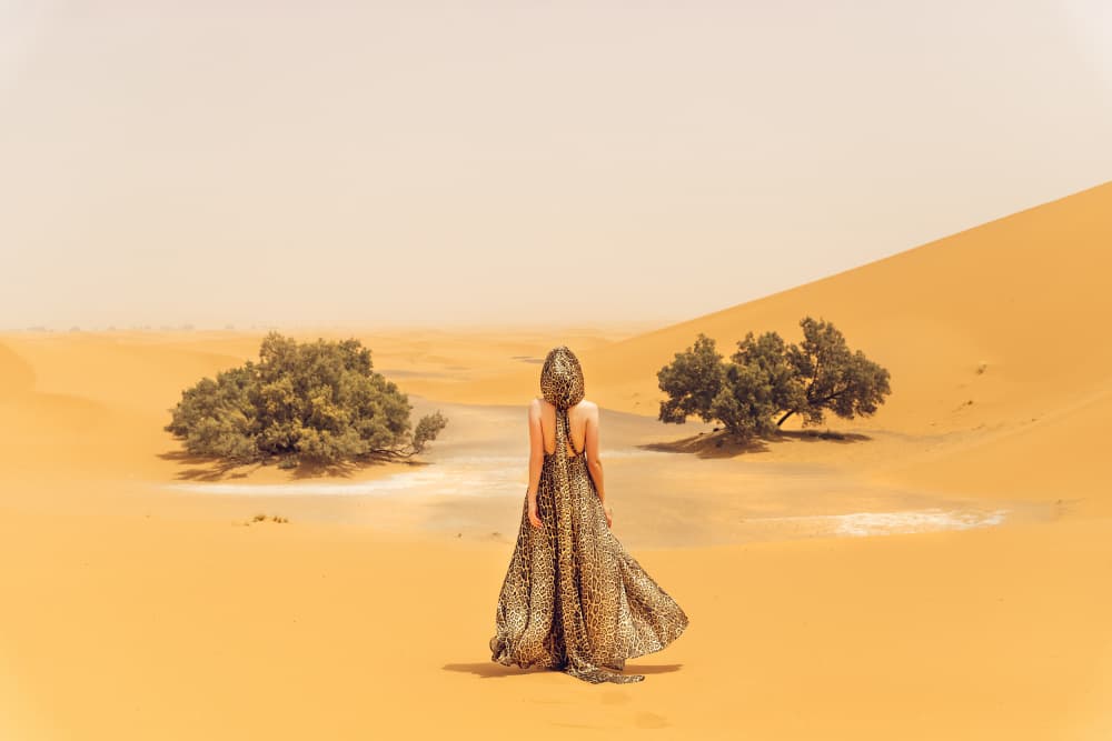 Elegant Journey In Desert by Ruslan Bolgov — canvas wall art