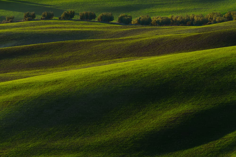 Verdant Rolling Hills by Emilio Pino — canvas wall art