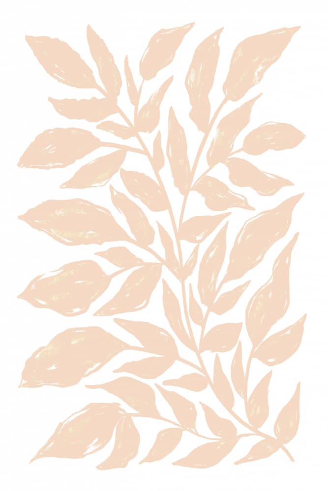 Peach Botanical Leaves by Martina — canvas wall art