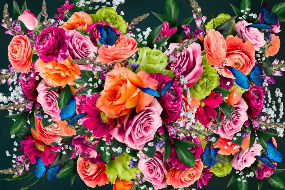 Vibrant Floral Butterflies by Sue Skellern — canvas wall art