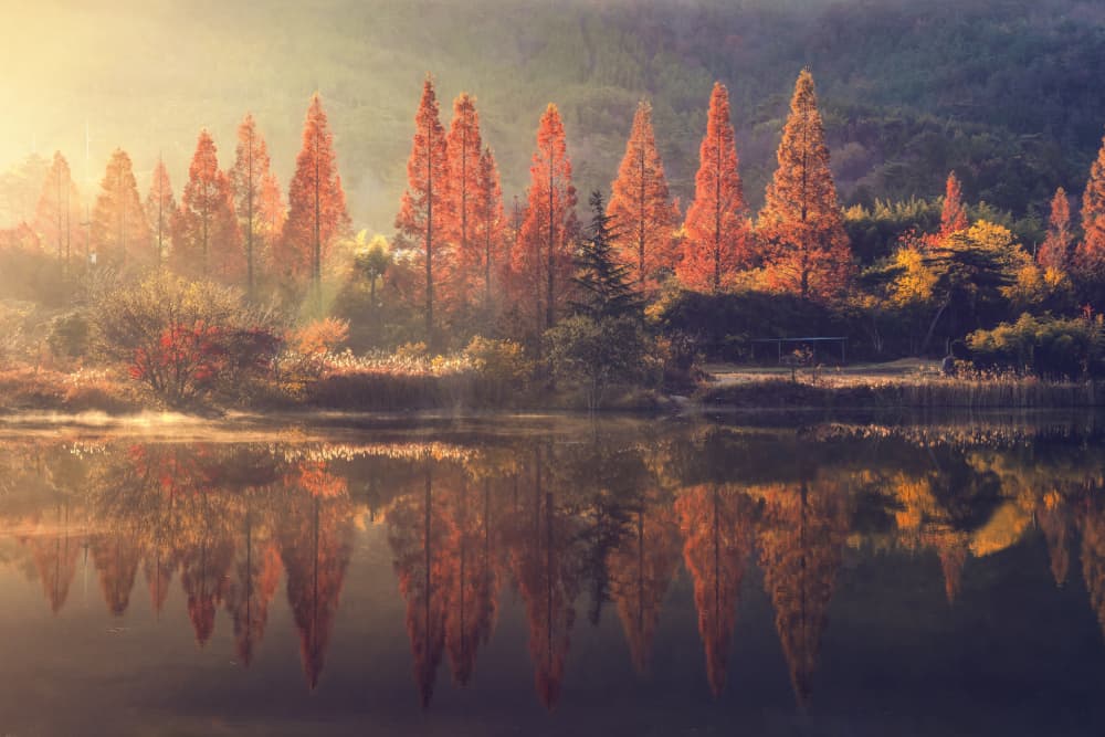 Misty Autumn Reflections by Tiger Seo — canvas wall art