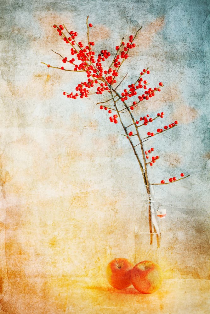 Red Berries and Apples by Gustav Davidsson — canvas wall art