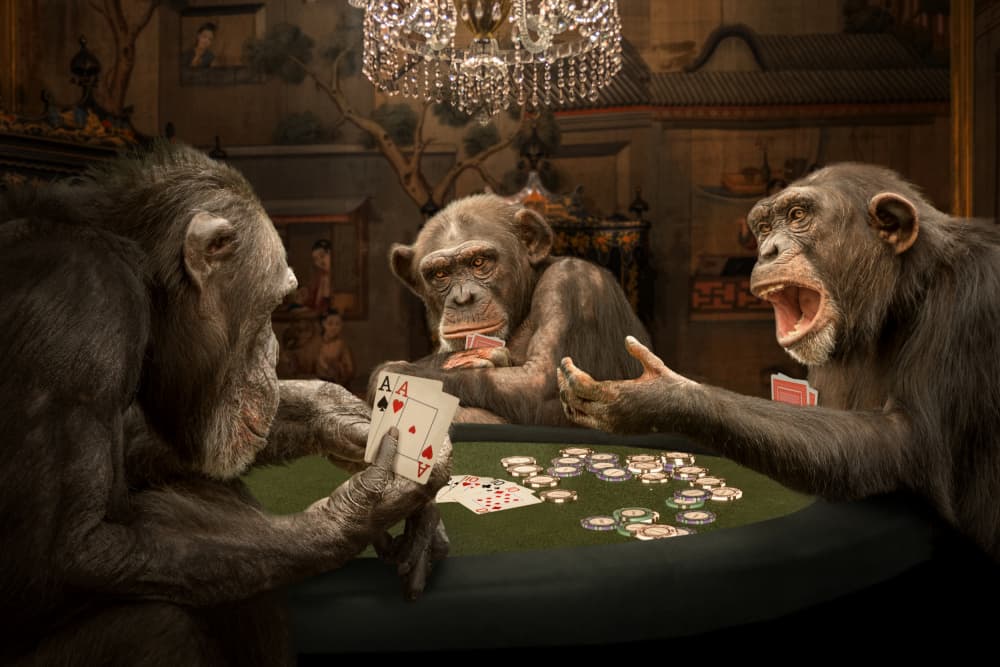 Chimpanzee Poker Game by Marcel Egger — canvas wall art