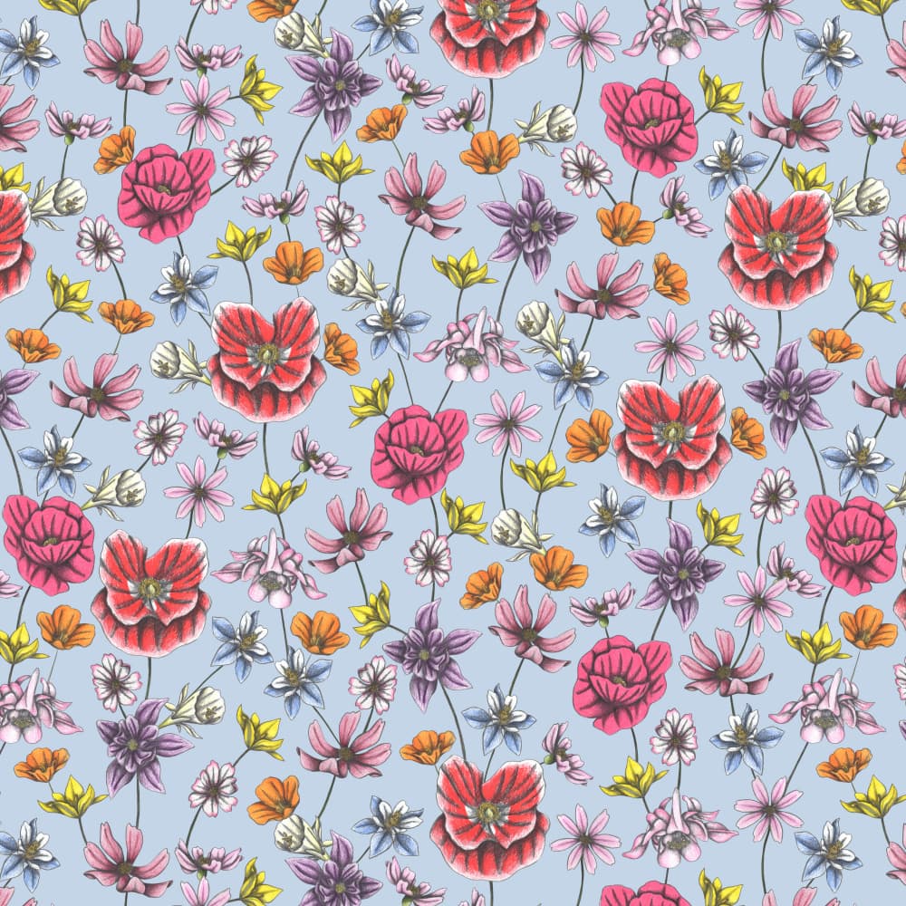 Sweet Spring Flowers by Cecilia Battaini — canvas wall art