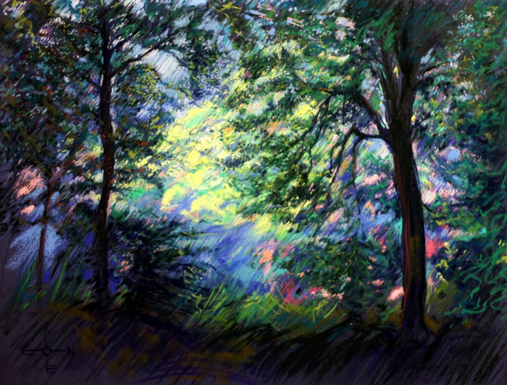 Vibrant Forest Light by Corné Akkers — canvas wall art