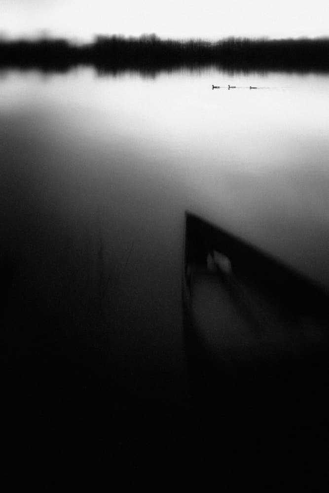Ducks on Still Water by Rui Correia — canvas wall art