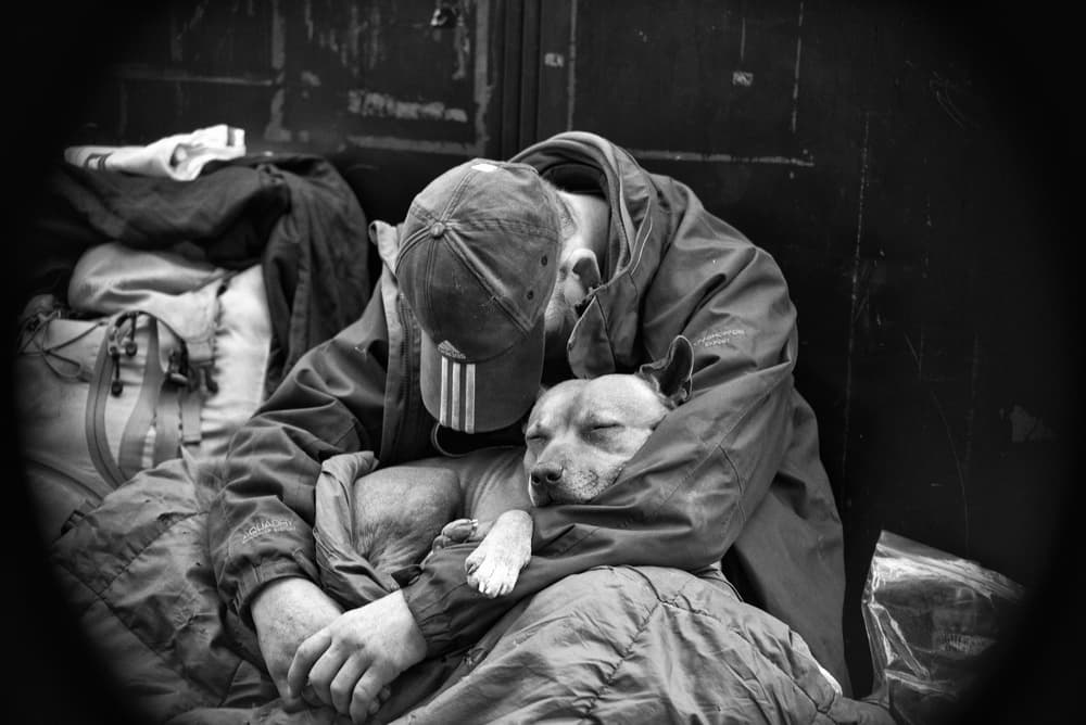 Homeless Man's Best Friend by Ray Clark — canvas wall art
