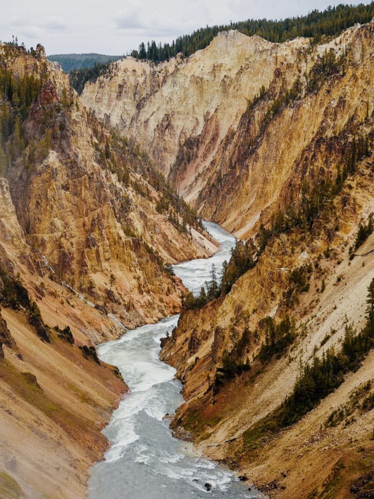 Yellowstone Canyon River by Del Mundo Imagery — canvas wall art