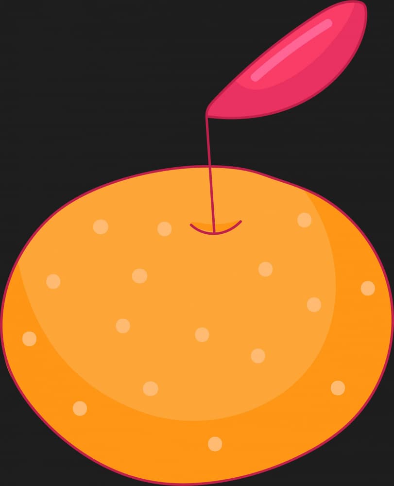 Sweet Orange Drop by Marika Barsrsind — canvas wall art