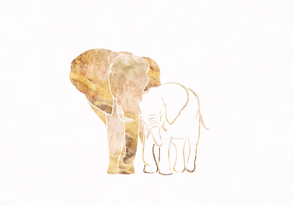 Golden Elephant Family by Sarah Manovski — canvas wall art