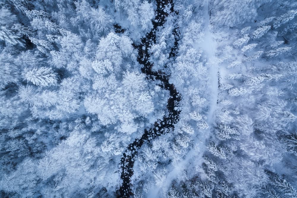 Winding Winter Forest River by Daniel Gastager — canvas wall art