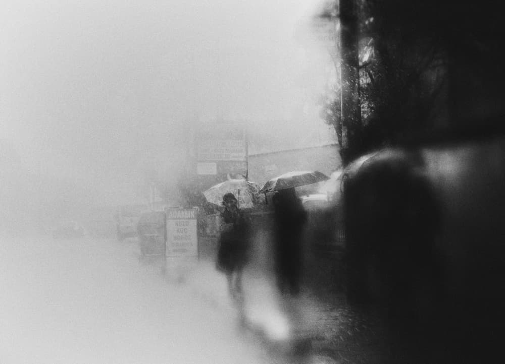 Rainy City Umbrellas by Ali Ayer — canvas wall art