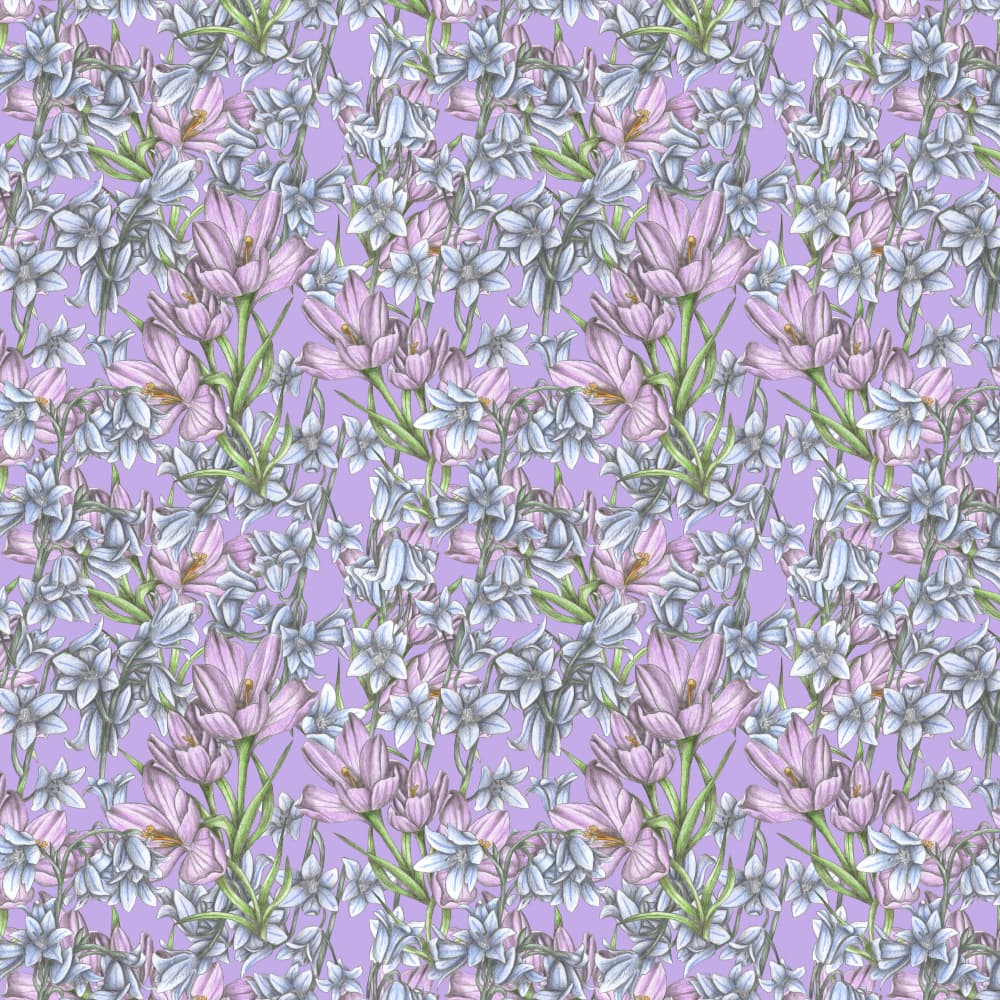 Gentle Lavender Blooms by Cecilia Battaini — canvas wall art